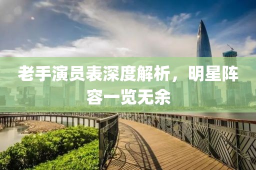 老手演员表深度解析，明星阵容一览无余