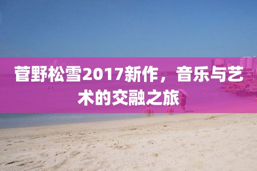 菅野松雪2017新作，音乐与艺术的交融之旅