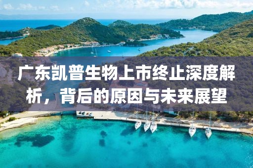 广东凯普生物上市终止深度解析，背后的原因与未来展望