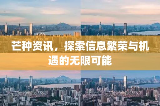 芒种资讯，探索信息繁荣与机遇的无限可能