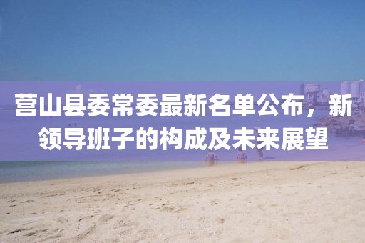 营山县委常委最新名单公布，新领导班子的构成及未来展望