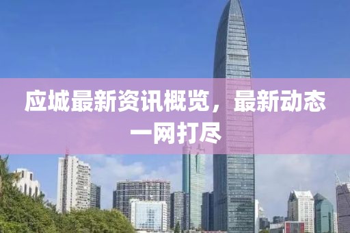 应城最新资讯概览，最新动态一网打尽