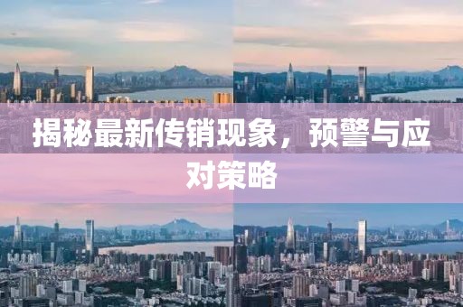 揭秘最新传销现象，预警与应对策略