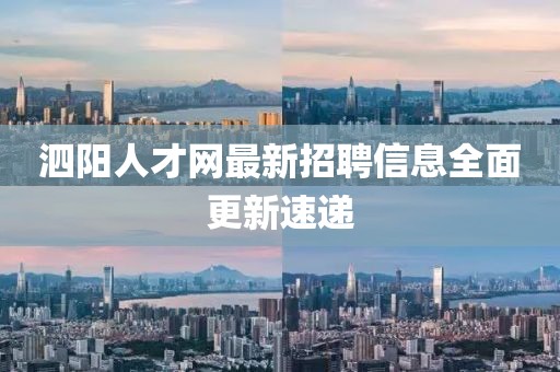 泗阳人才网最新招聘信息全面更新速递