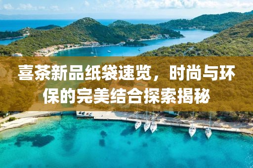 喜茶新品纸袋速览，时尚与环保的完美结合探索揭秘