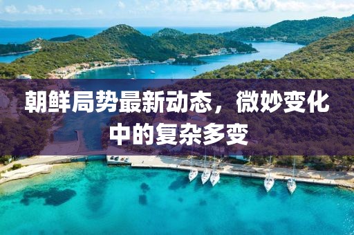 朝鲜局势最新动态，微妙变化中的复杂多变