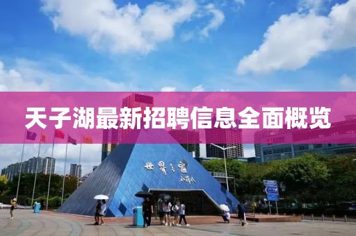 天子湖最新招聘信息全面概览