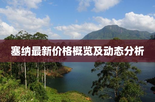 塞纳最新价格概览及动态分析