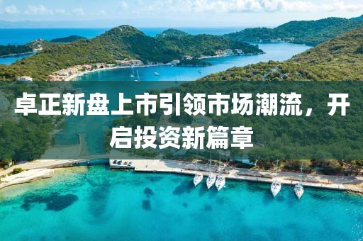 卓正新盘上市引领市场潮流，开启投资新篇章