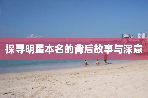 安陵忻美 第13页