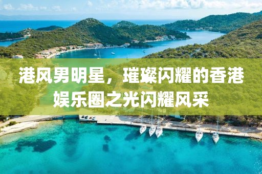 港风男明星，璀璨闪耀的香港娱乐圈之光闪耀风采