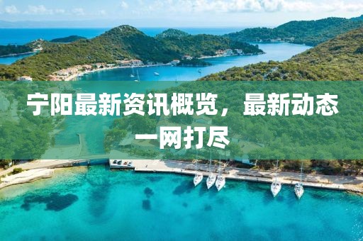 宁阳最新资讯概览，最新动态一网打尽