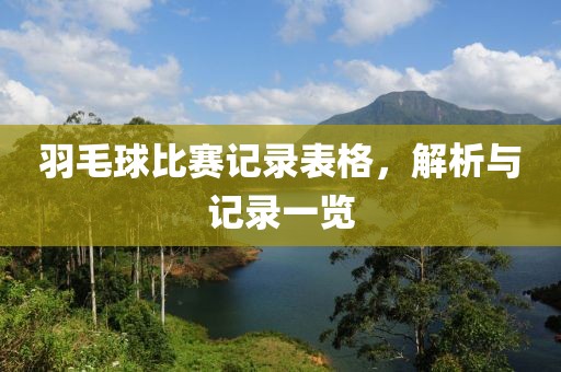 羽毛球比赛记录表格，解析与记录一览