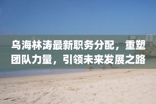 乌海林涛最新职务分配，重塑团队力量，引领未来发展之路