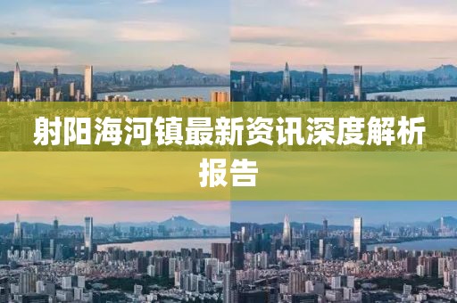 射阳海河镇最新资讯深度解析报告