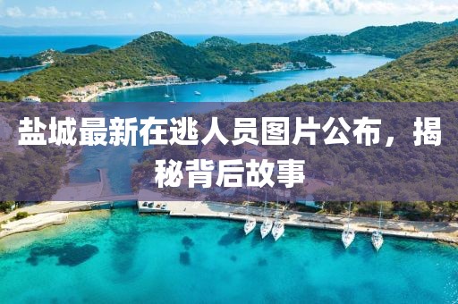 盐城最新在逃人员图片公布，揭秘背后故事