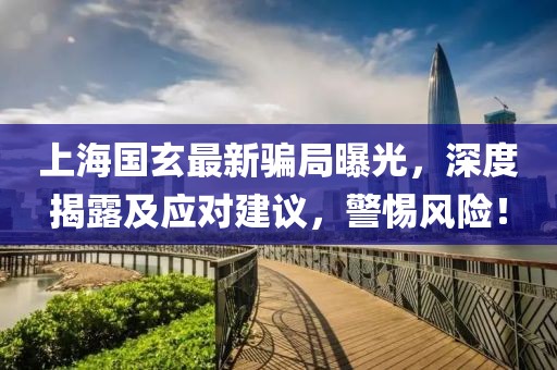 上海国玄最新骗局曝光，深度揭露及应对建议，警惕风险！