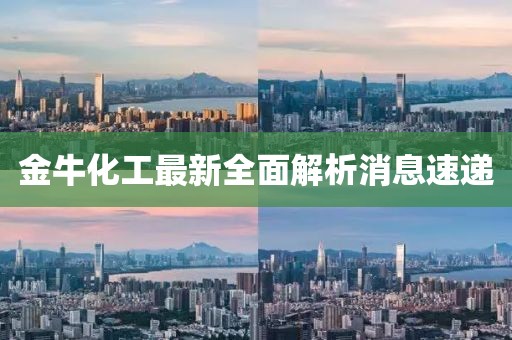 金牛化工最新全面解析消息速递