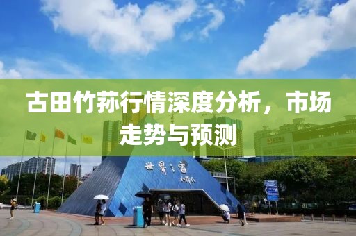 古田竹荪行情深度分析，市场走势与预测