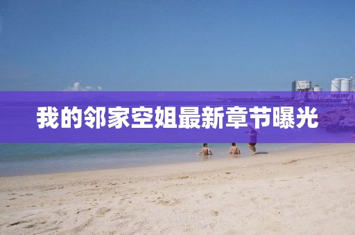 我的邻家空姐最新章节曝光