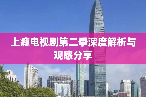 上瘾电视剧第二季深度解析与观感分享