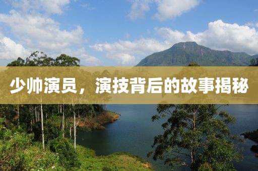 少帅演员，演技背后的故事揭秘