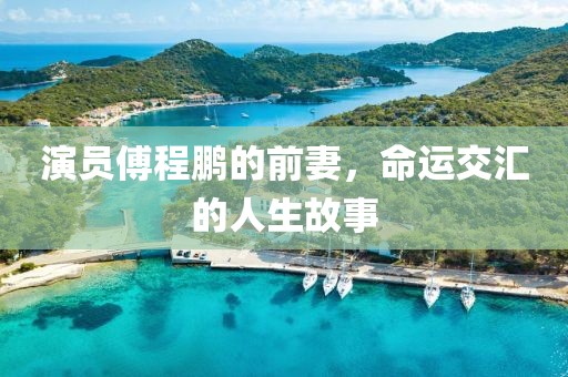 演员傅程鹏的前妻，命运交汇的人生故事