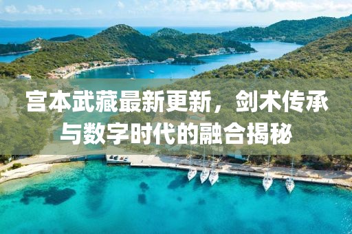 宫本武藏最新更新，剑术传承与数字时代的融合揭秘