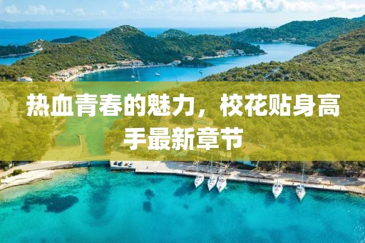 热血青春的魅力，校花贴身高手最新章节