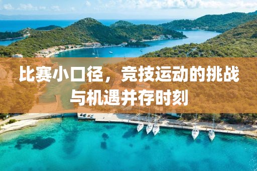 比赛小口径，竞技运动的挑战与机遇并存时刻