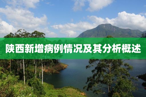 陕西新增病例情况及其分析概述