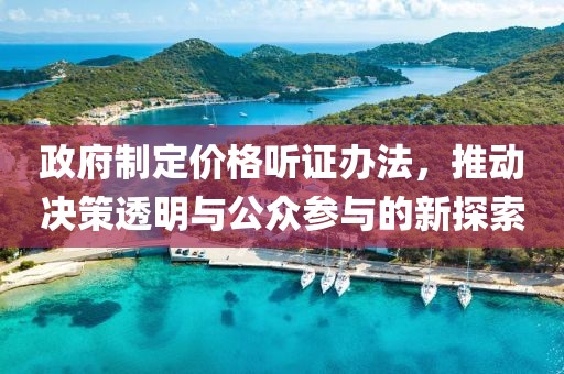 政府制定价格听证办法，推动决策透明与公众参与的新探索
