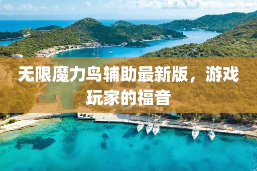 无限魔力鸟辅助最新版，游戏玩家的福音