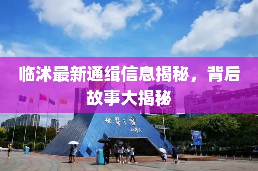 临沭最新通缉信息揭秘，背后故事大揭秘