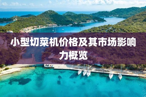 小型切菜机价格及其市场影响力概览