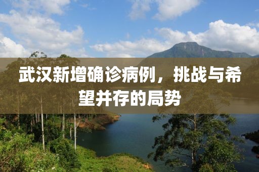 武汉新增确诊病例，挑战与希望并存的局势