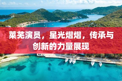 莱芜演员，星光熠熠，传承与创新的力量展现