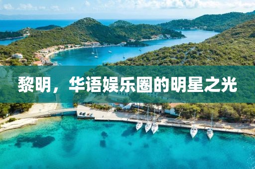黎明，华语娱乐圈的明星之光