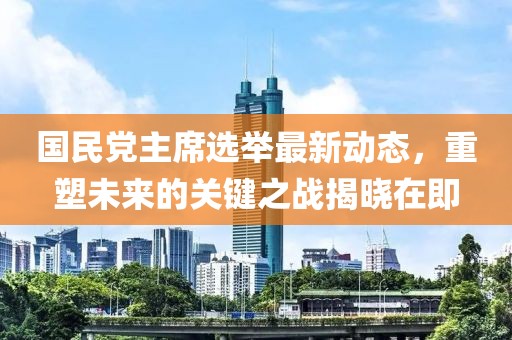 国民党主席选举最新动态，重塑未来的关键之战揭晓在即
