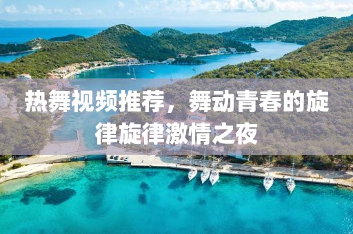 热舞视频推荐，舞动青春的旋律旋律激情之夜