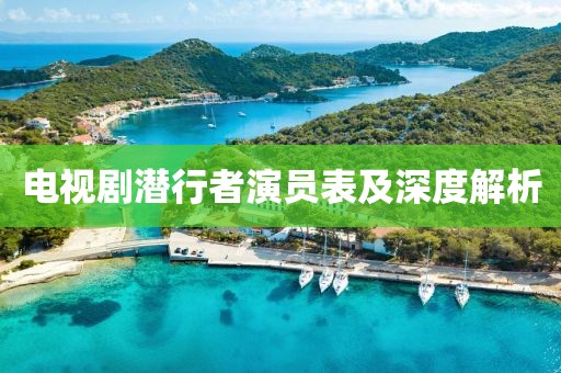 电视剧潜行者演员表及深度解析