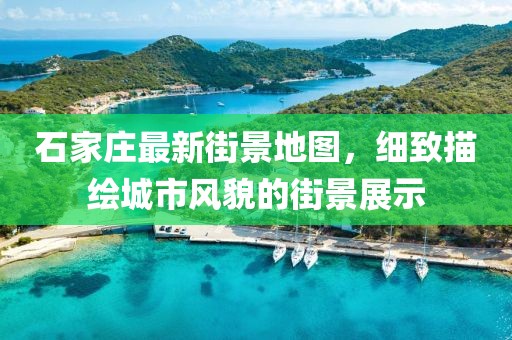 青苓菀 第9页