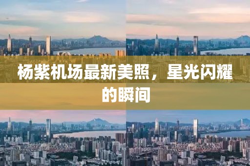 杨紫机场最新美照，星光闪耀的瞬间