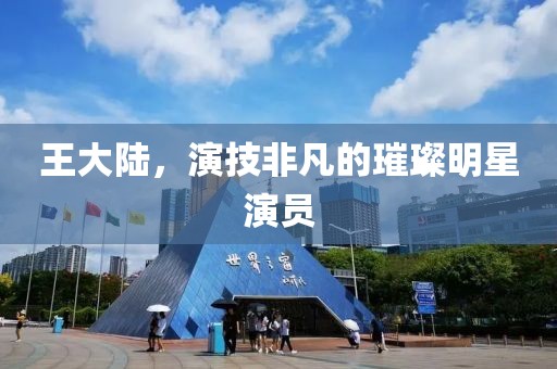 王大陆，演技非凡的璀璨明星演员