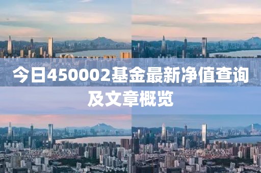 今日450002基金最新净值查询及文章概览