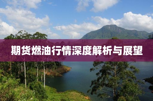 期货燃油行情深度解析与展望