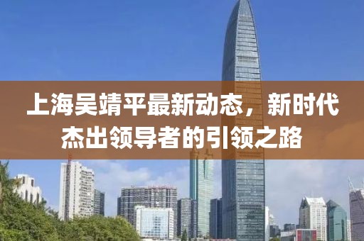 上海吴靖平最新动态，新时代杰出领导者的引领之路