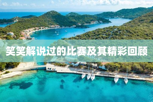 笑笑解说过的比赛及其精彩回顾