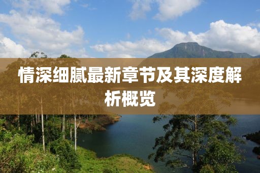 情深细腻最新章节及其深度解析概览