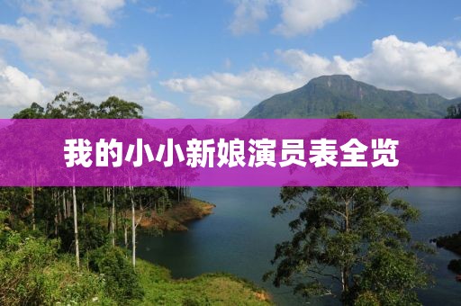 我的小小新娘演员表全览